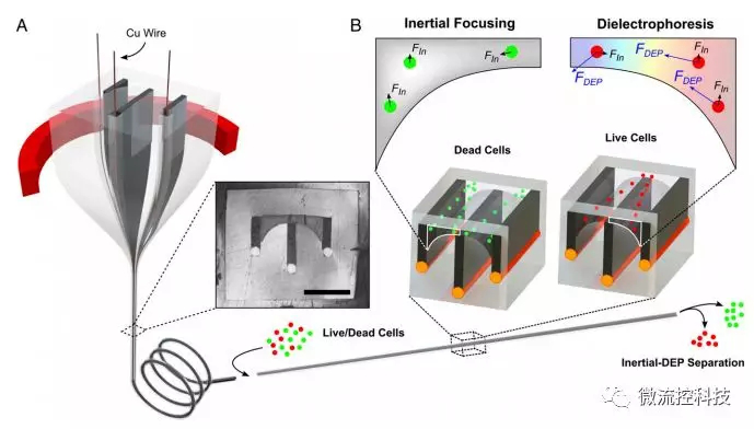 MIT 结构化多材料纤维微流控装置
